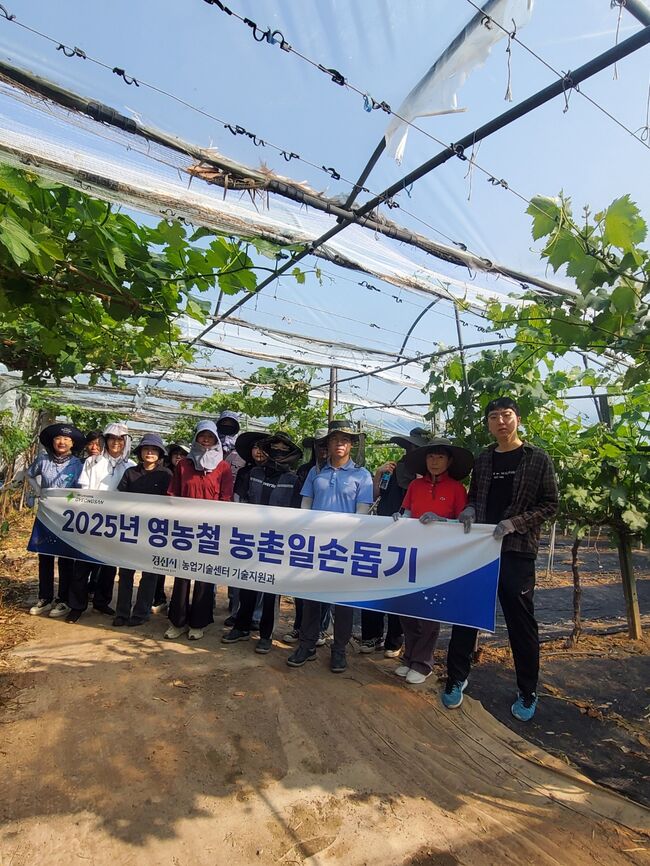 경산시 기술지원과, 영농철 맞아 포도농가 일손돕기 실시