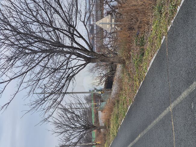 경산 환상리 \ 습관적 소각\  위험... 산불 경각심 재무장 촉구